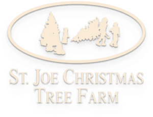 Home - St. Joe Christmas Tree Farm